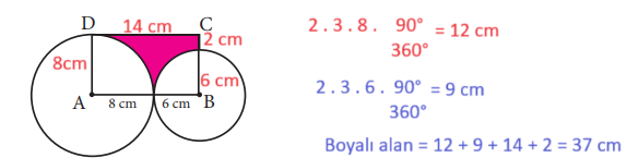 7. Sınıf Matematik Ders Kitabı Sayfa 215 Cevapları MEB Yayınları4
