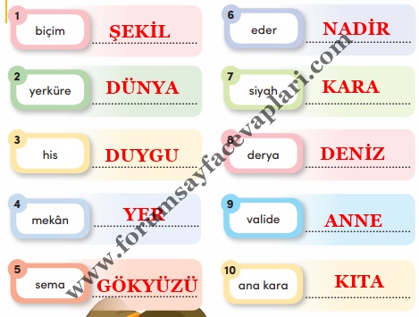 3. Sınıf Türkçe Ders Kitabı Sayfa 249-250-251-252-253-254 Cevapları MEB Yayınları