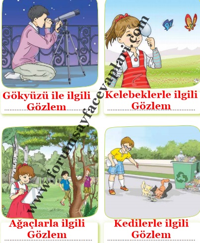 3. Sınıf Türkçe Ders Kitabı Sayfa 286-287-288-289-290 Cevapları Sonuç Yayıncılık