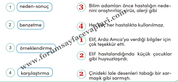4. Sınıf Türkçe Ders Kitabı Sayfa 227-228-229 Cevapları MEB Yayınları