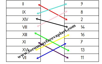 3. Sınıf Matematik Ders Kitabı Sayfa 46-47-48 Cevapları MEB Yayınları