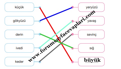 7. Sınıf Türkçe Ders Kitabı Sayfa 44-45-46 Cevapları Özgün Yayınları