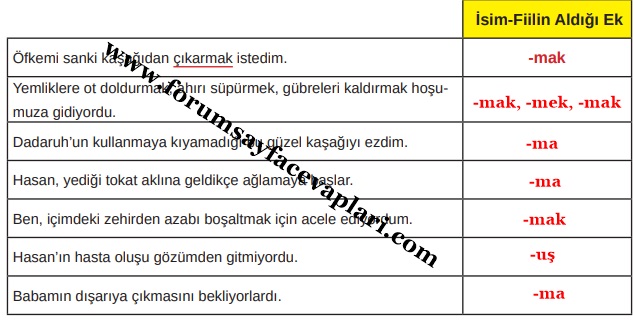 8. Sınıf Türkçe Ders Kitabı Sayfa 20-23-24-25-26-27 Cevapları MEB Yayınları