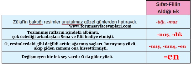 8. Sınıf Türkçe Ders Kitabı Sayfa 28-29-30-31-32-33 Cevapları MEB Yayınları