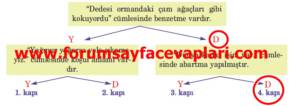 5. Sınıf Türkçe Ders Kitabı Sayfa 64-65-66 Cevapları Anıttepe Yayıncılık