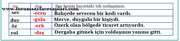 5. Sınıf Türkçe Ders Kitabı Sayfa 104-105-106-107-108-109 Cevapları Anıttepe Yayıncılık