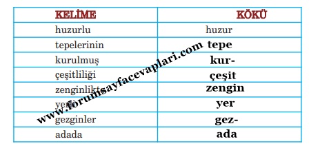 5. Sınıf Türkçe Ders Kitabı Sayfa 79-80-81-82-83-84 Cevapları Anıttepe Yayıncılık