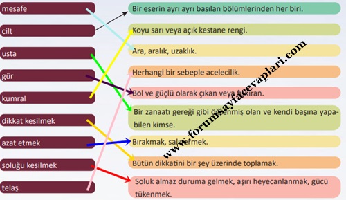 6. Sınıf Türkçe Ders Kitabı Sayfa 118-120-121-122-123 Cevapları MEB Yayınları