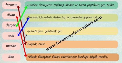 6. Sınıf Türkçe Ders Kitabı Sayfa 18-20-21-22-23-24-25 Cevapları MEB Yayınları