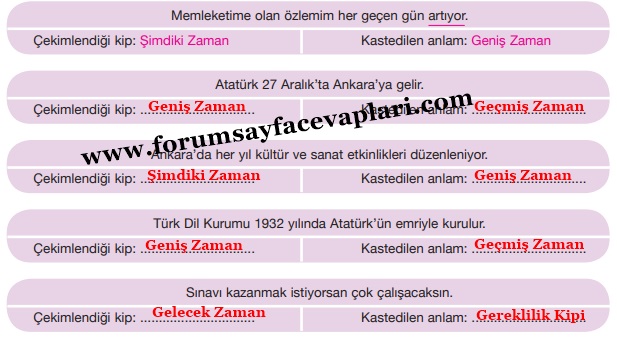 7. Sınıf Türkçe Ders Kitabı Sayfa 117-118-119-120-121 Cevapları Özgün Yayınları
