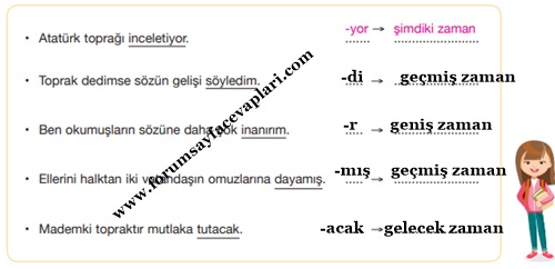 7. Sınıf Türkçe Ders Kitabı Sayfa 48-50-51-52-53-54 Cevapları Özgün Yayınları