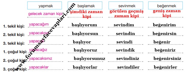 7. Sınıf Türkçe Ders Kitabı Sayfa 79-83-84-85 Cevapları Özgün Yayınları