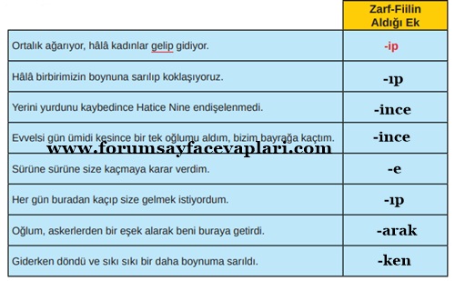 8. Sınıf Türkçe Ders Kitabı Sayfa 46-48-49-50-51 Cevapları MEB Yayınları