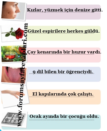 3. Sınıf Türkçe Ders Kitabı Sayfa 84-85-86-87-88-89-90-91 Cevapları MEB Yayınları