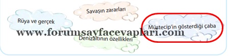 4. Sınıf Türkçe Ders Kitabı Sayfa 46-49-50-51-52-53 Cevapları KOZA Yayıncılık