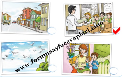 4. Sınıf Türkçe Ders Kitabı Sayfa 91-92-93-94-95 Cevapları KOZA Yayıncılık