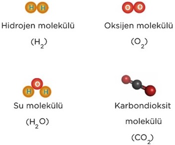 Molekül modelleri oluşturarak bir afiş hazırlayınız.