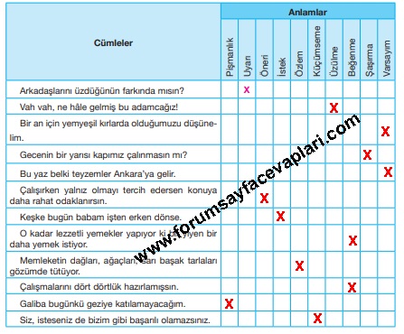 7. Sınıf Türkçe Ders Kitabı Sayfa 173-174-175-176-177-178 Cevapları Özgün Yayınları