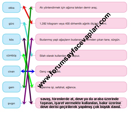 7. Sınıf Türkçe Ders Kitabı Sayfa 164-167-168-169-170-171-172 Cevapları Özgün Yayınları