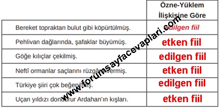 8. Sınıf Türkçe Ders Kitabı Sayfa 156-158-159-160-161 Cevapları MEB Yayınları