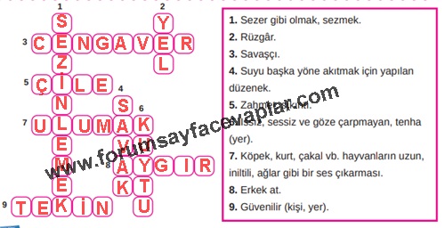 8. Sınıf Türkçe Ders Kitabı Sayfa 216-221-222-223-224-225 Cevapları MEB Yayınları