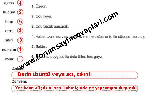 8. Sınıf Türkçe Ders Kitabı Sayfa 262-264-265-266-267 Cevapları MEB Yayınları