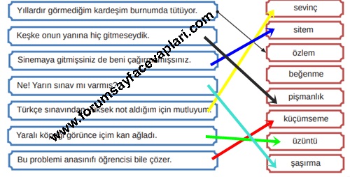 8. Sınıf Türkçe Ders Kitabı Sayfa 268-272-273-274-275 Cevapları MEB Yayınları
