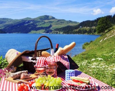 Piknik yapmak için gittiğiniz bir yerin nasıl olmasını istersiniz? Çiziniz.