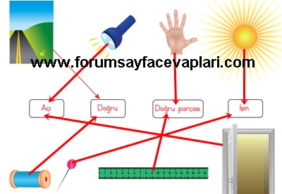 3. Sınıf Matematik Ders Kitabı Sayfa 232-233-234 Cevapları MEB Yayınları