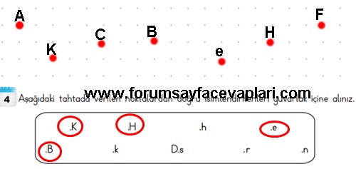 3. Sınıf Matematik Ders Kitabı Sayfa 224-225-226-227 Cevapları MEB Yayınları