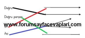 3. Sınıf Matematik Ders Kitabı Sayfa 232-233-234 Cevapları MEB Yayınları