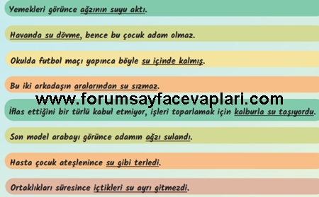 6. Sınıf Türkçe Ders Kitabı Sayfa 152-154-155-156-157-158-159. Cevapları MEB Yayınları