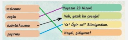 6. Sınıf Türkçe Ders Kitabı Sayfa 242-246-247-248-249. Cevapları MEB Yayınları