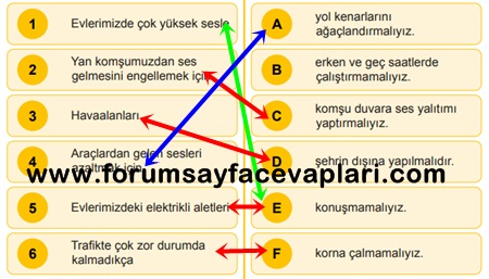 4. Sınıf Fen Bilimleri Ders Kitabı Sayfa 222-223-224-225 Cevapları MEB Yayınları