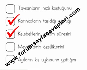 1. Sınıf Türkçe Çalışma Kitabı Sayfa 152-153-154-155. Cevapları