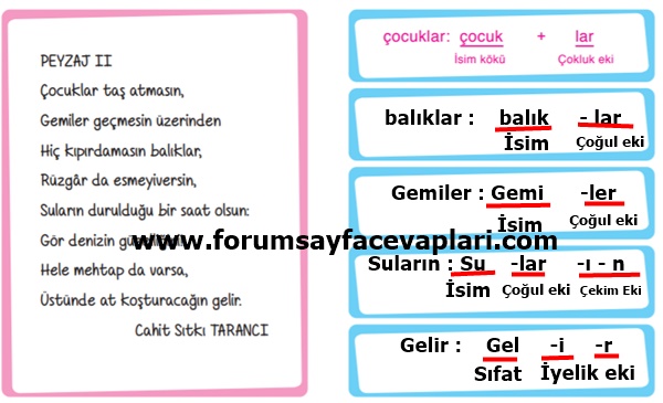 6. Sınıf Türkçe Ders Kitabı Sayfa 198-200-201-202-203-204 Cevapları ATA Yayıncılık