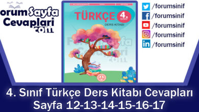 4. Sınıf Türkçe Ders Kitabı Sayfa 12-13-14-15-16-17 Cevapları MEB Yayınları