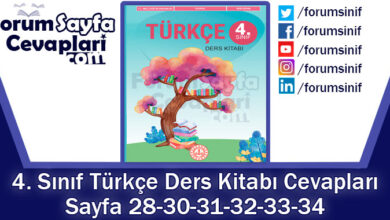 4. Sınıf Türkçe Ders Kitabı Sayfa 28-30-31-32-33-34 Cevapları MEB Yayınları