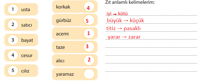 5. Sınıf Türkçe Ders Kitabı Sayfa 24-26-27-28-29-30 Cevapları KOZA Yayıncılık