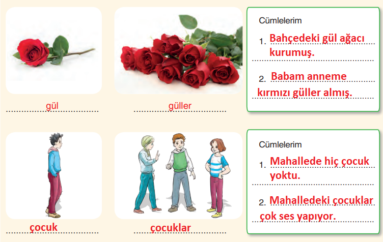 6. Sınıf Türkçe Ders Kitabı Sayfa 15-17-18-19-20-21. Cevapları Anka Yayınevi
