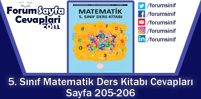 5. Sınıf Matematik Ders Kitabı Sayfa 205-206. Cevapları MEB Yayınları