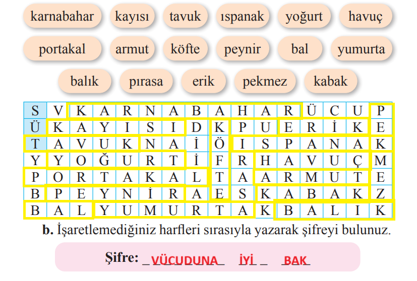 2. Sınıf Türkçe Ders Kitabı Sayfa 205-206-207-208-209-210 Cevapları Bilim ve Kültür Yayınları