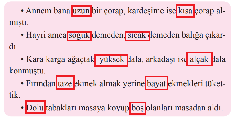 2. Sınıf Türkçe Ders Kitabı 230-233-234-235-236 Sayfa Cevapları Bilim ve Kültür Yayınları