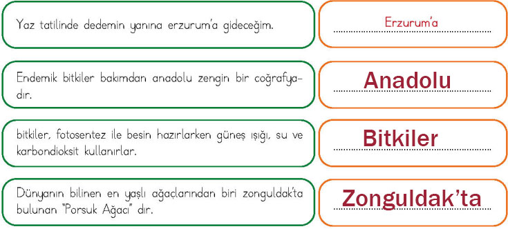 4. Sınıf Türkçe Ders Kitabı Sayfa 144-146-147-148-149 Cevapları MEB Yayınları
