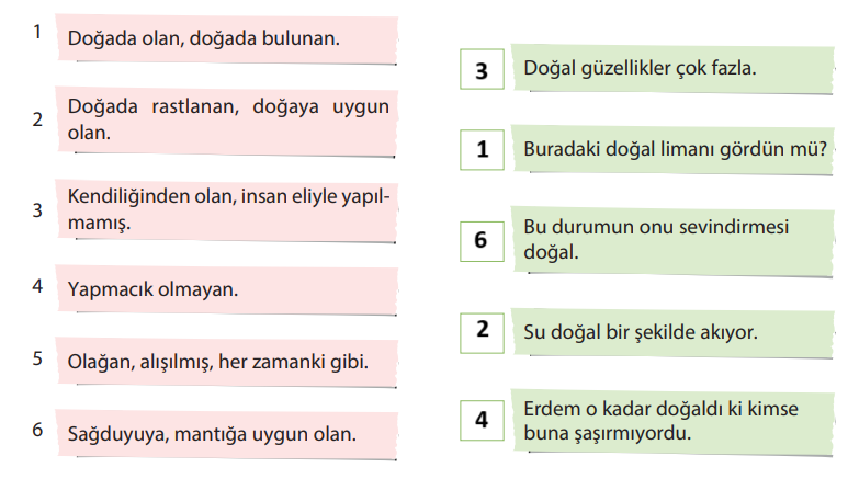 5. Sınıf Türkçe Ders Kitabı Sayfa 158-159-160 Cevapları KOZA Yayıncılık