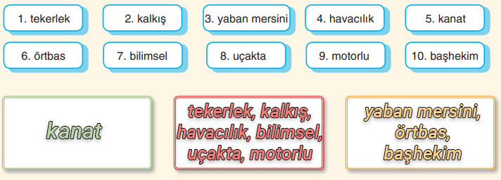 6. Sınıf Türkçe Ders Kitabı Sayfa 151-152-153-154 Cevapları Anka Yayınevi