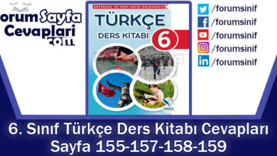 6. Sınıf Türkçe Ders Kitabı Sayfa 155-157-158-159 Cevapları Anka Yayınevi