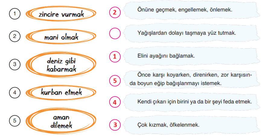 7. Sınıf Türkçe Ders Kitabı Sayfa 137-140-141-142-143-144 Cevapları Dörtel Yayıncılık