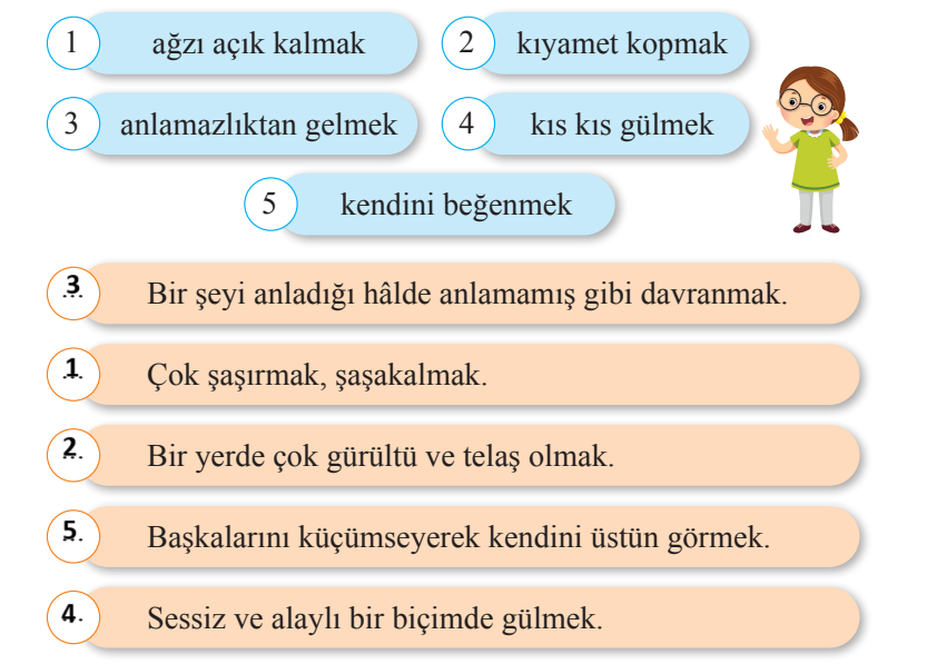 2. Sınıf Türkçe Ders Kitabı 248-251-252-253-254-255 Sayfa Cevapları Bilim ve Kültür Yayınları
