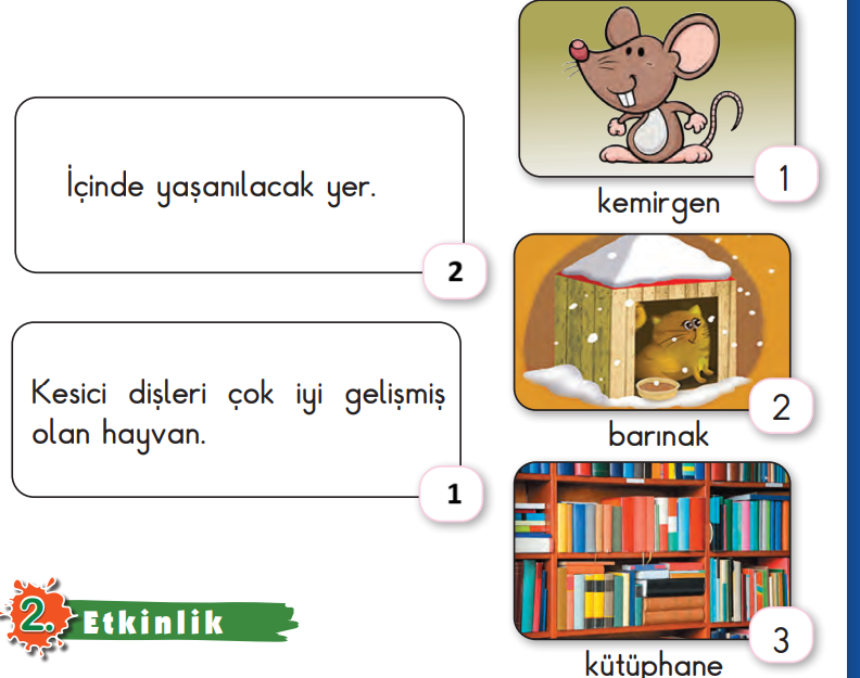 2. Sınıf Türkçe Ders Kitabı 220-222-223-224-225. Sayfa Cevapları MEB Yayınları